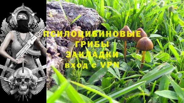 дживик Алексеевка