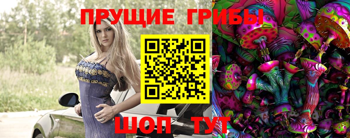 Североуральск  Псилоцибиновые грибы ЛСД  Псилоцибиновые грибы мухоморы  Вход с VPN 