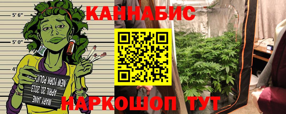 Бошки Шишки Amnesia Североуральск